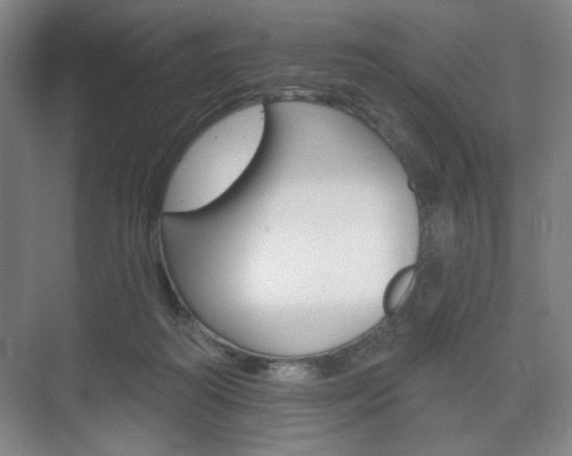 X0000075830218200609150854