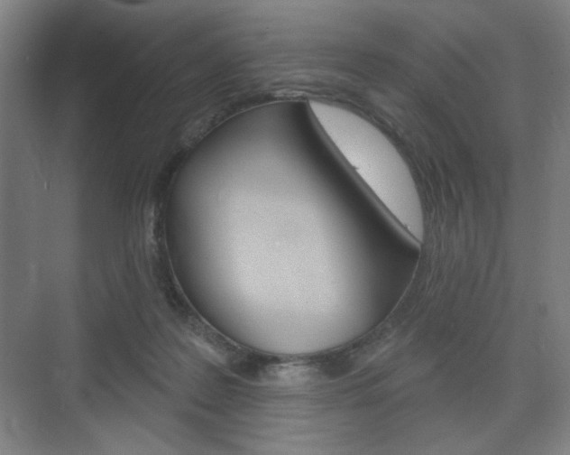 X0000075830219200609150854