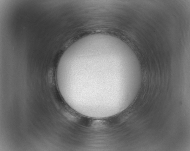 X0000075830222200609150854