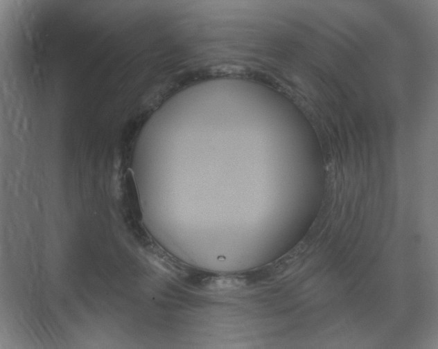 X0000075830223200609150854