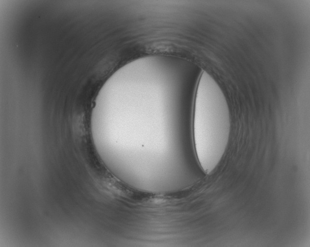 X0000075830224200609150854