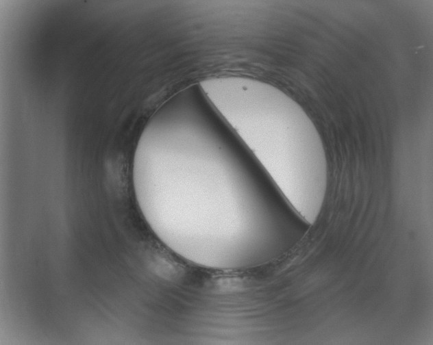 X0000075830228200609150854