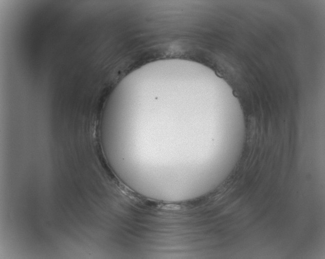 X0000075830230200609150854