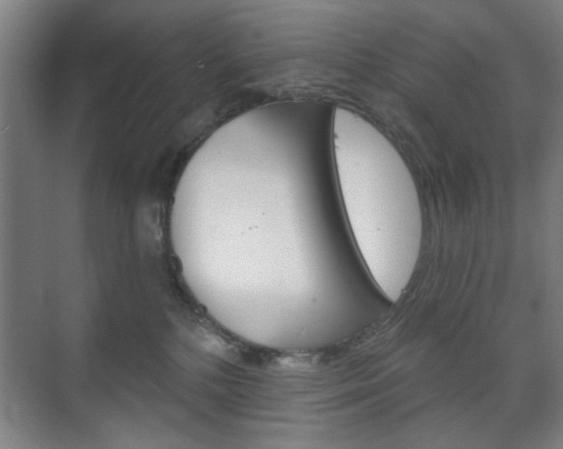 X0000075830232200609150854