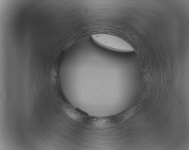 X0000075830235200609150854