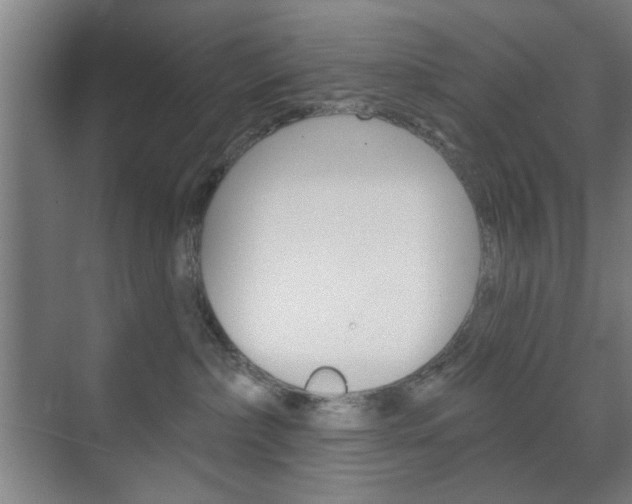 X0000075830236200609150854