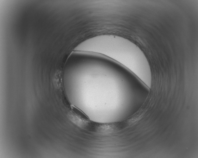 X0000075830237200609150854