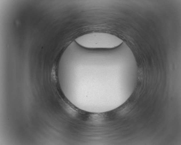 X0000075830238200609150854