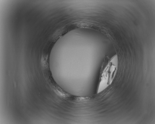 X0000075830239200609150854