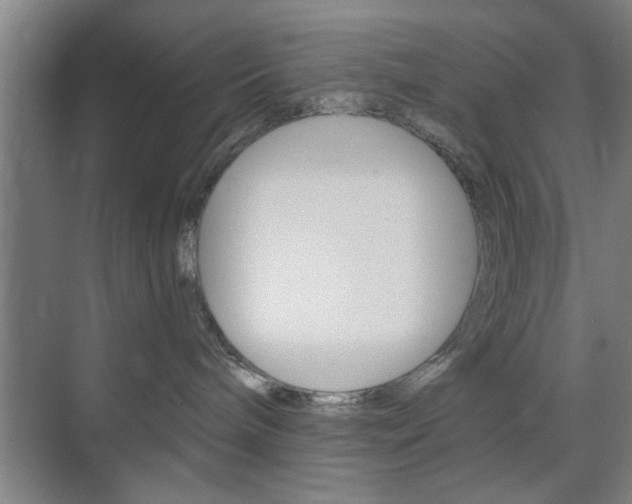 X0000075830240200609150854