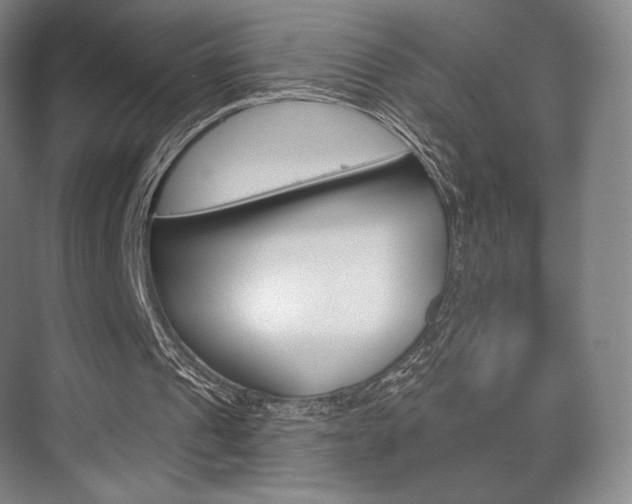 X0000075830241200609150853