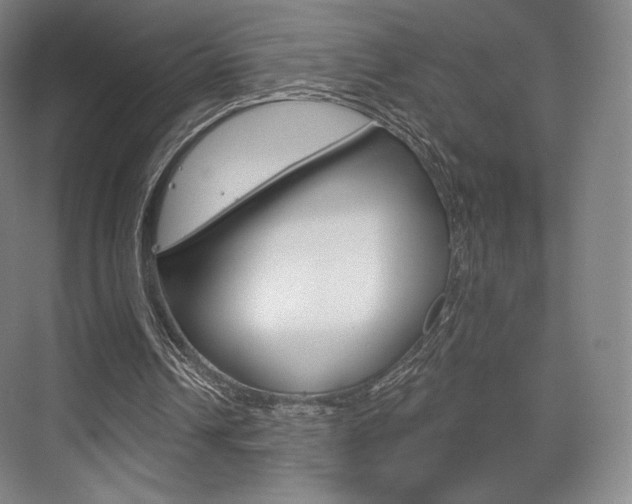 X0000075830242200609150853