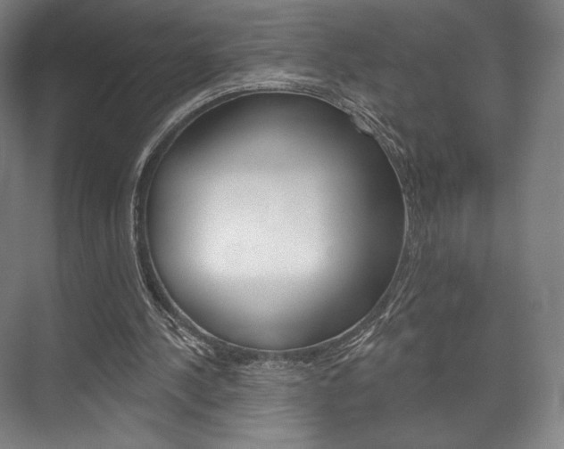 X0000075830244200609150853