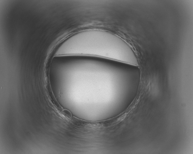 X0000075830245200609150853