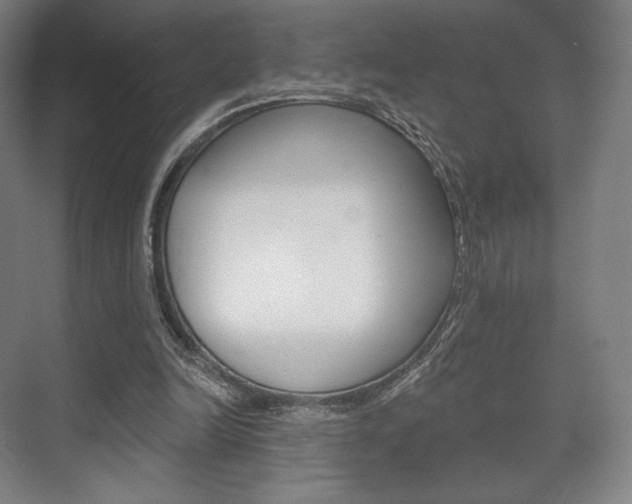 X0000075830246200609150853