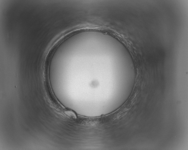 X0000075830247200609150853