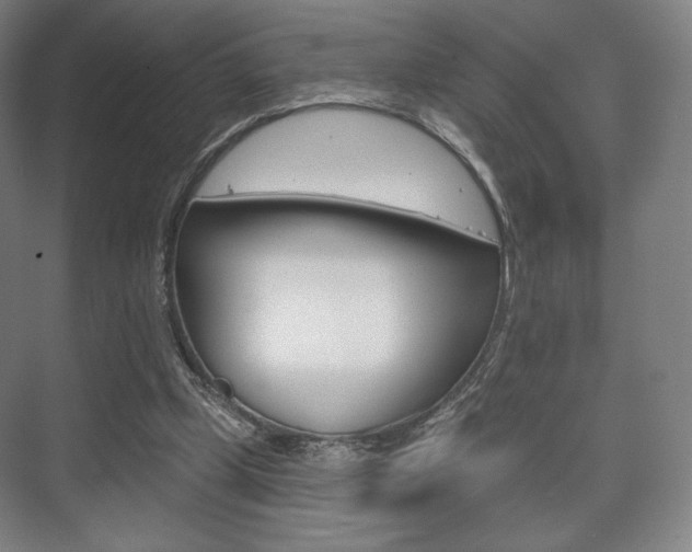 X0000075830249200609150853