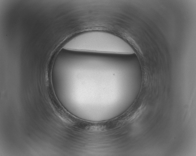 X0000075830251200609150853