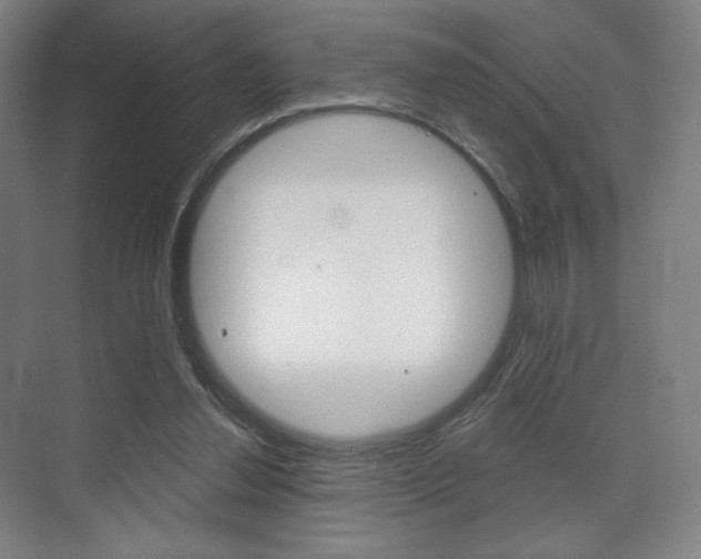 X0000075830252200609150853