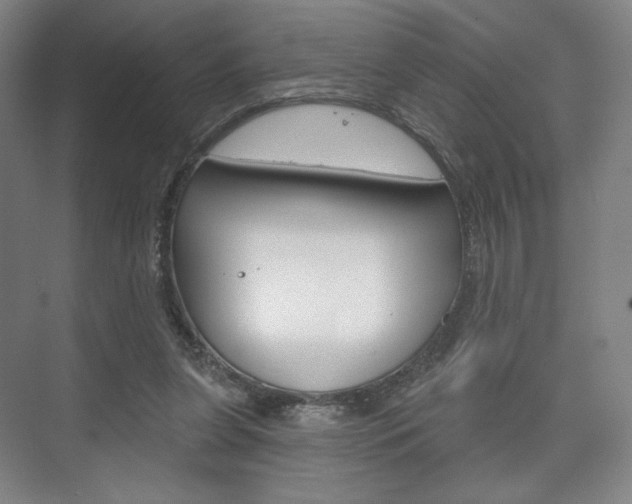 X0000075830255200609150853