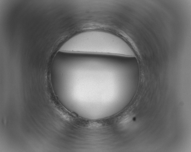 X0000075830257200609150853