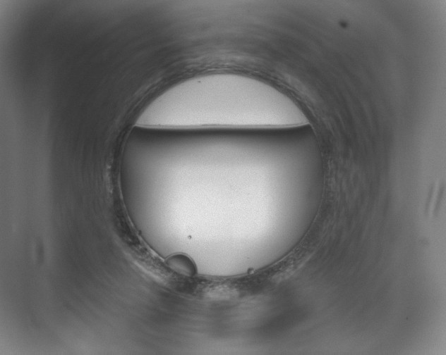 X0000075830258200609150853