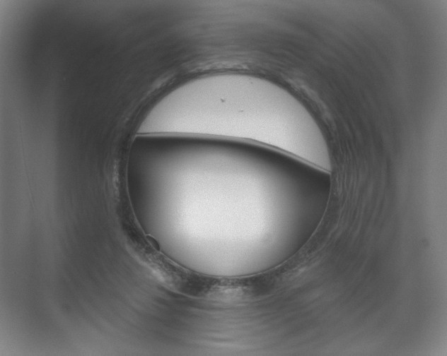 X0000075830260200609150853