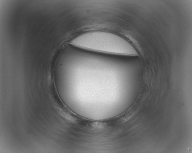 X0000075830261200609150853