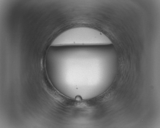 X0000075830262200609150853