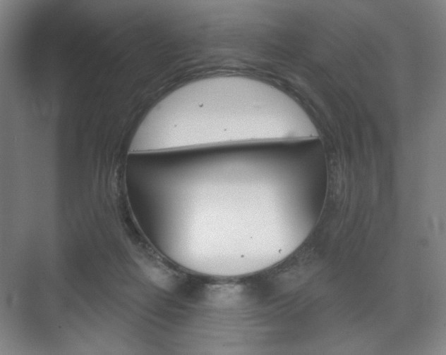 X0000075830266200609150853