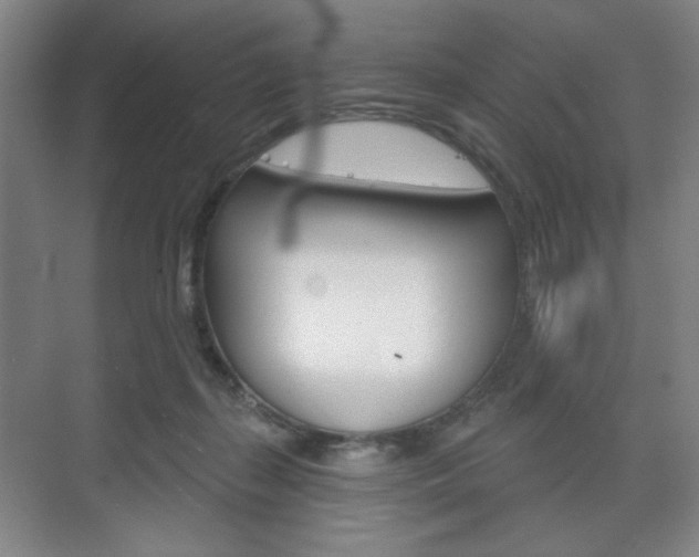 X0000075830267200609150853