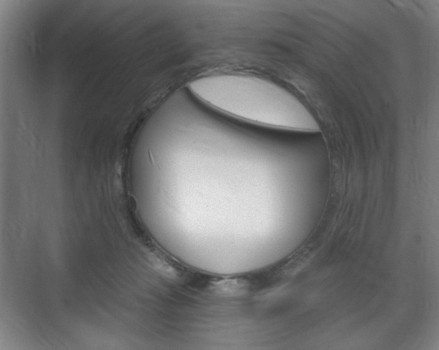 X0000075830269200609150853