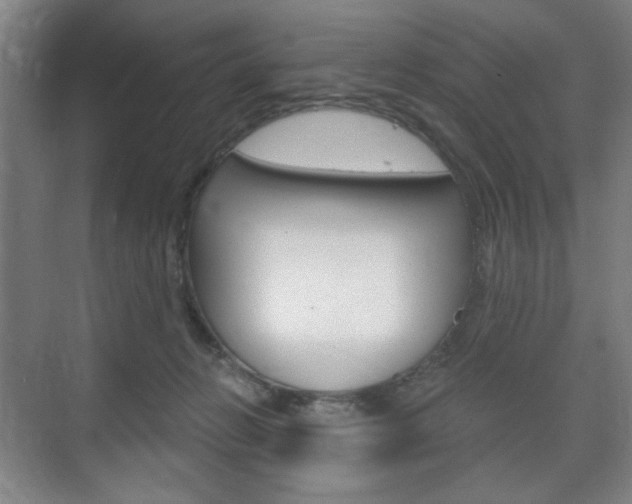 X0000075830270200609150853