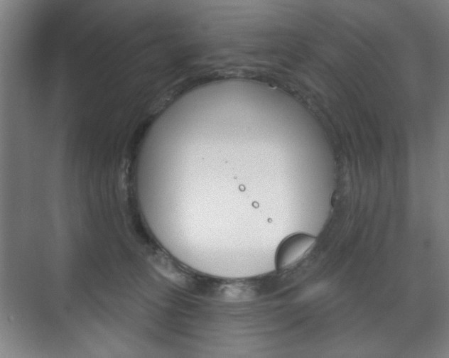 X0000075830275200609150854