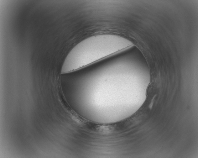 X0000075830277200609150854