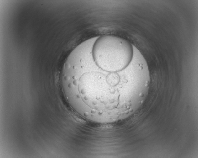 X0000075830278200609150854