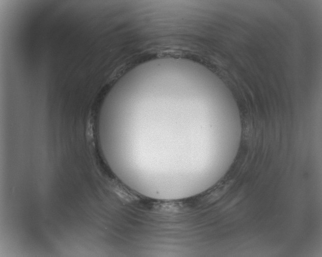 X0000075830282200609150854