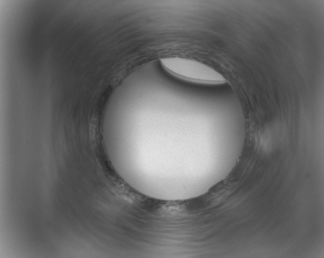 X0000075830283200609150854