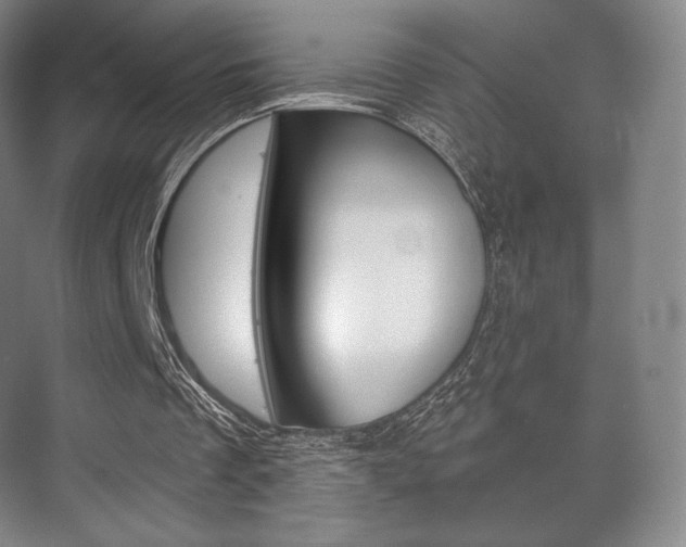 X0000075830289200609150853