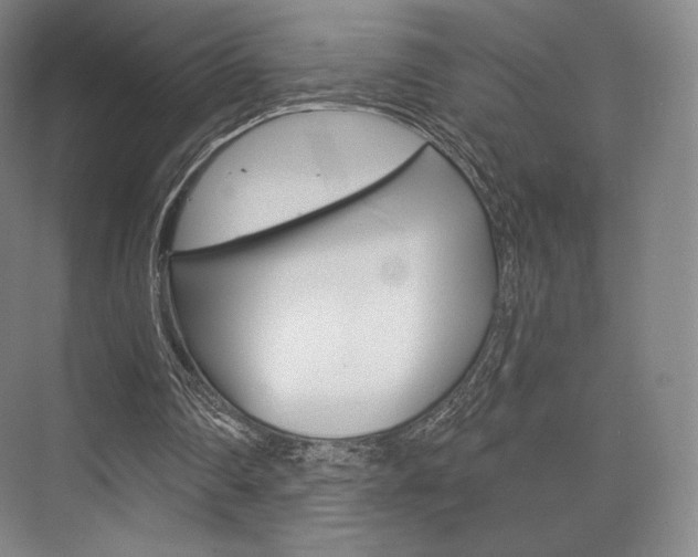 X0000075830290200609150853