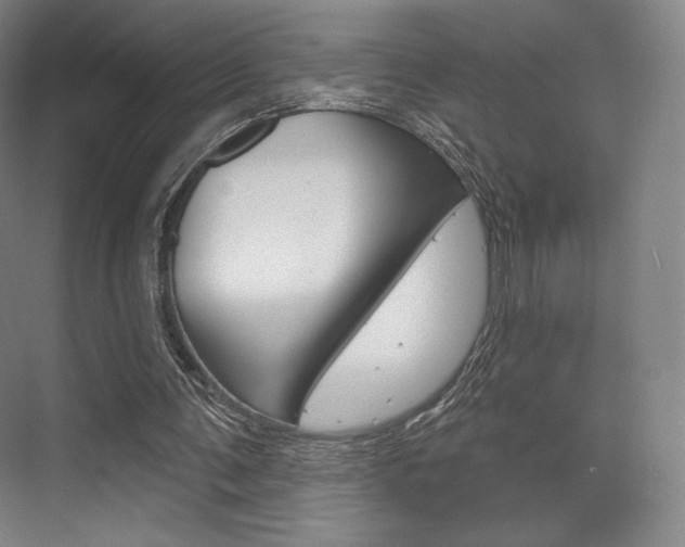 X0000075830291200609150853