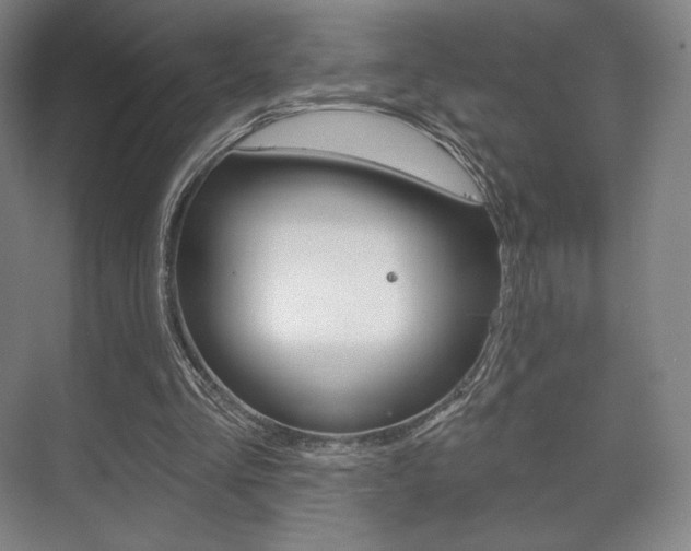 X0000075830293200609150853