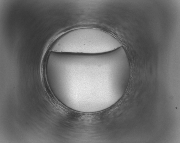 X0000075830294200609150853