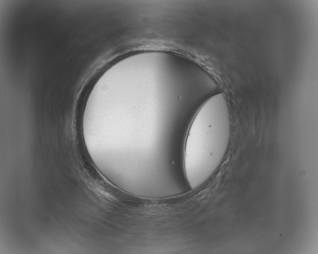 X0000075830296200609150853