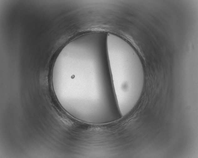 X0000075830299200609150853