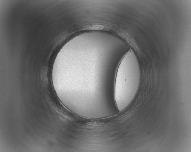 X0000075830300200609150853