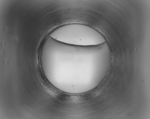 X0000075830302200609150853