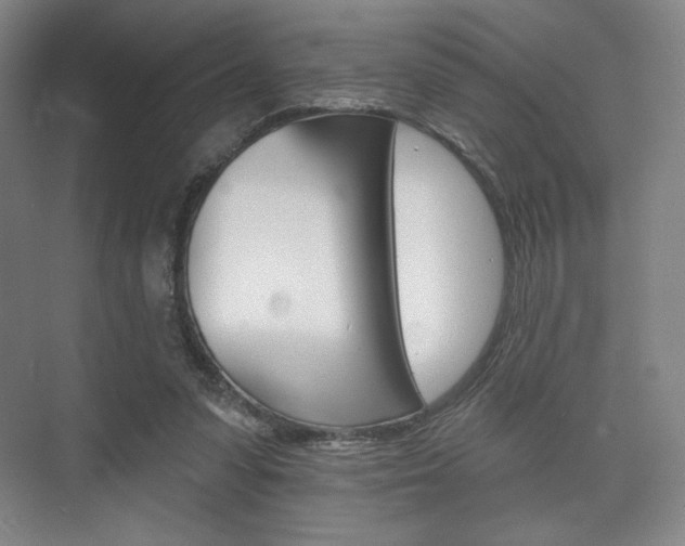 X0000075830303200609150853