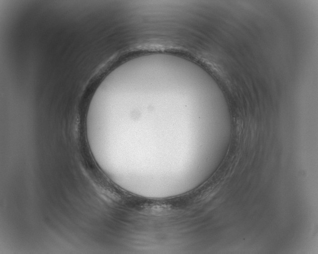 X0000075830304200609150853