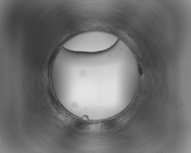 X0000075830306200609150853